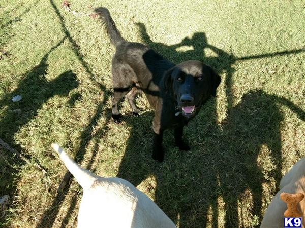 WillMe Picture 1
